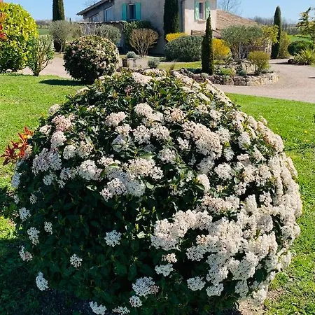 Quaint In Tranquil Setting